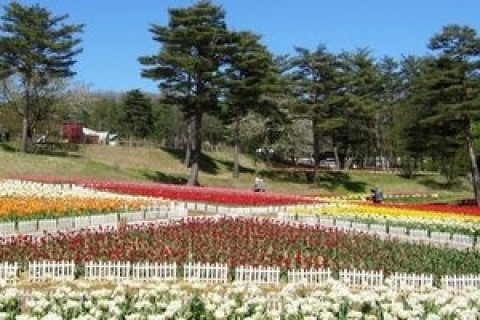 森林とダム湖が織りなす美しい景観を満喫できる道