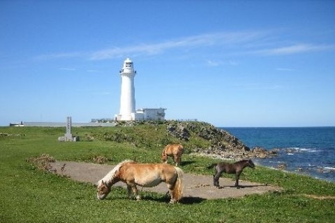 まさかり半島・太平洋を巡る道