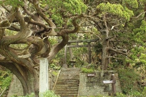 南伊豆歩道