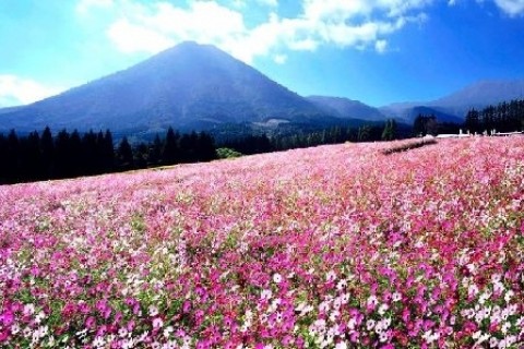 小林・生駒高原・霧島連山の絶景を巡る道