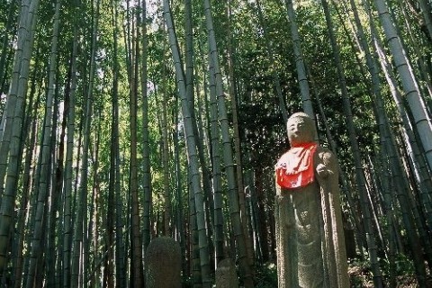 熊野・よみがえりの道