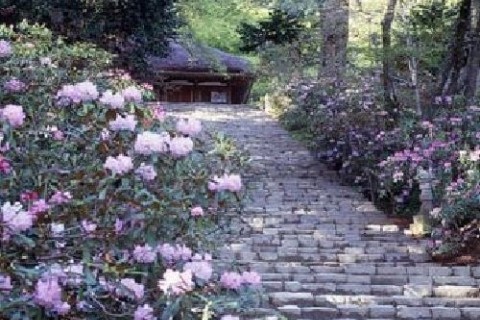 国宝の寺(大野寺・室生寺)を巡るみち