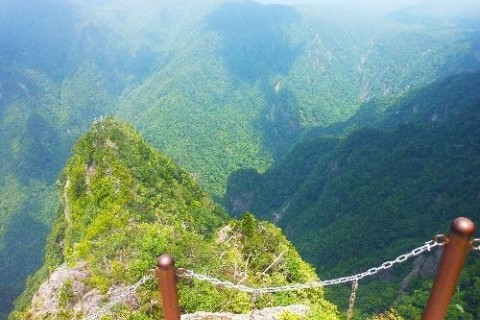 日本百名山「大台ヶ原 東大台」・壮大な自然を大パノラマで楽しむことできる道