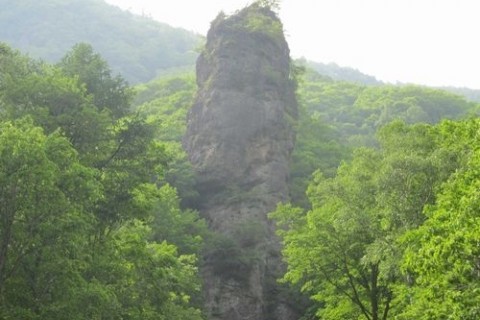標高2,000ｍの高原へ続く、浅間山南麓・こもろ深沢渓谷の道