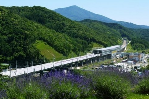キャベツ「春みどり」と芸術・文化を楽しむ道