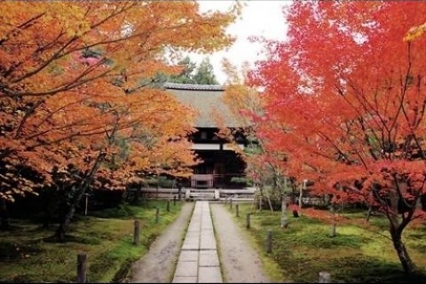 神宿る山岳信仰の道（京都と奈良古都の境に宿る信仰の道）