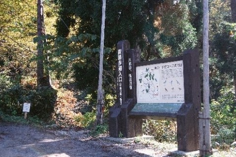 立山美女平森の巨人たちのみち