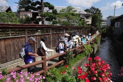 最上川舟運コース