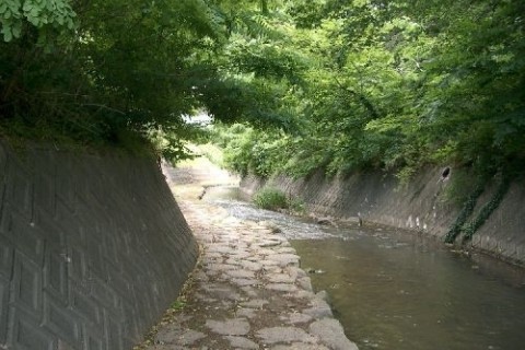 郡山・せせらぎこみちと渓谷を巡るみち