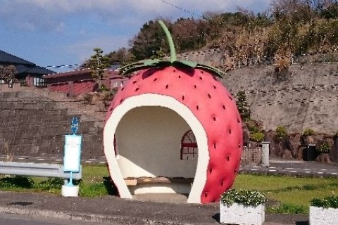 小長井の竹崎街道とフルーツバス停をめぐるみち