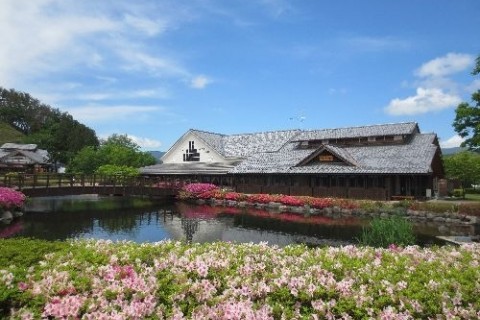 田園風景を歩く愛宕山・桂昌寺コース