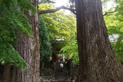 津市森林セラピー基地　三多気蔵王コース