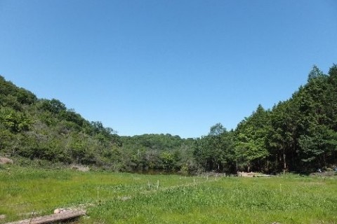 あびき湿原野生生物保護地区　可憐な希少種たちと出逢う道