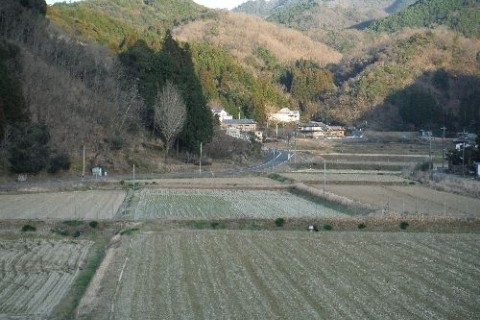金明孟宗竹　周辺田園ウォーキング