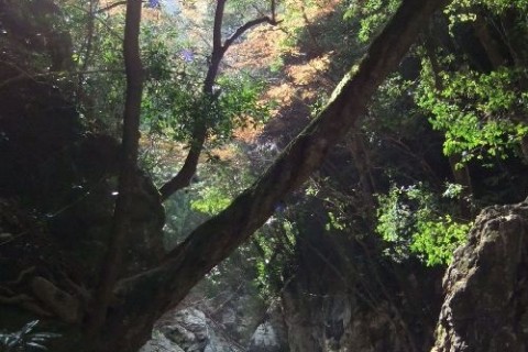 600余年の筏流しの歴史ロマンをたどる「筏師の道」
