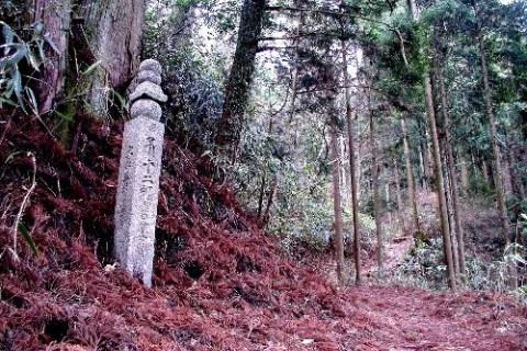 高野山町石道