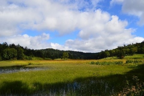 尾瀬の歴史をたどる道「会津沼田街道」