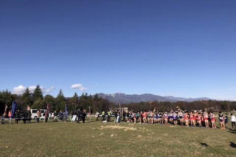 松本クロスカントリー大会コース