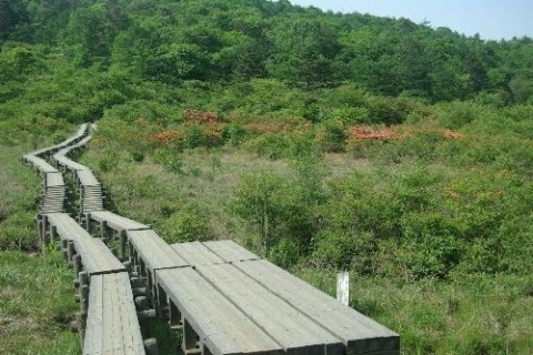 横根高原周回コース