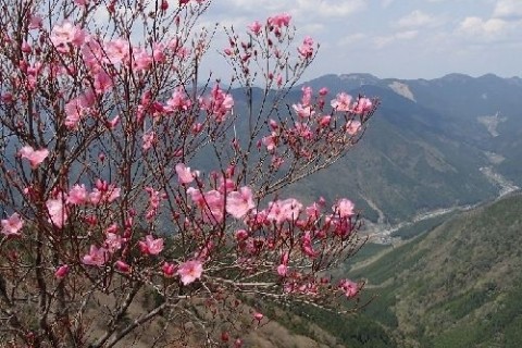 笠形山登山道