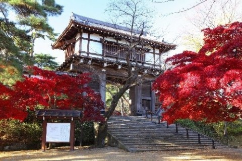 秋田市街と公園散策路