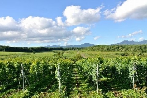 まさかり半島・陸奥湾を巡る道