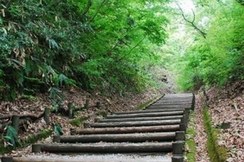 歴史国道　北陸道「倶利伽羅峠」