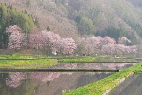 塩の道・千国街道（松本街道）