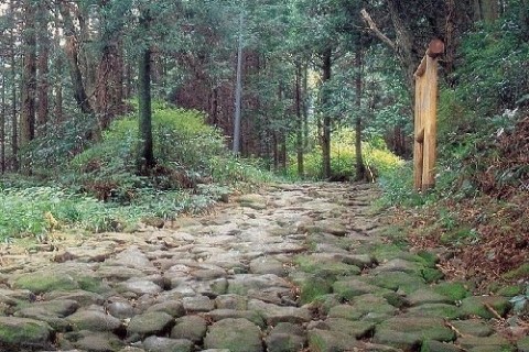 箱根旧街道