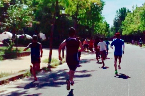 目指せ！大阪国際女子マラソンプロジェクトモニター募集　　Viento Running Club