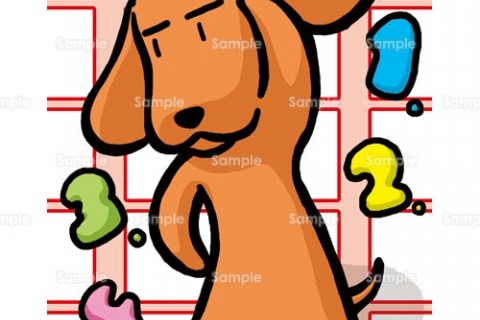 ランニング初心者様、ダイエットをお考えの方、自己流を脱出したい方へ走り方をアドバイス