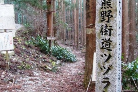 世界遺産の熊野古道ツヅラト峠