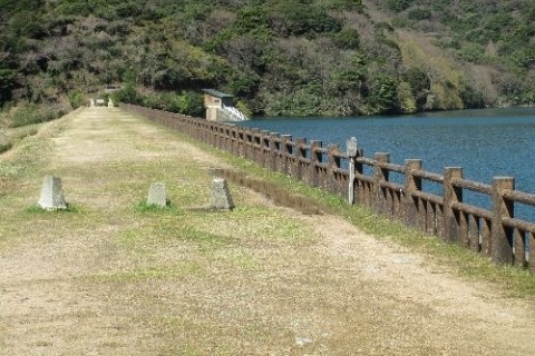 深坂の森・森林浴ウオーク
