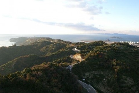 有田みかん海道