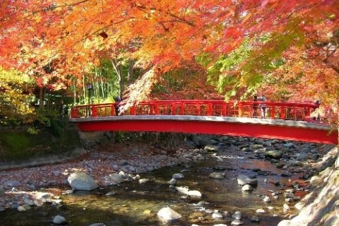 伊豆修善寺・文学と花のみち