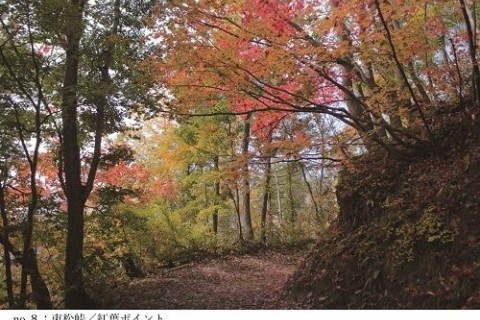 くらしと歴史のわかれ舟渡線-束松峠-