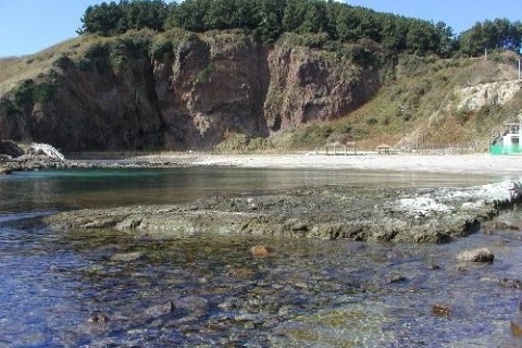 飛島の自然と季節の花を楽しむみち