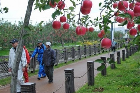 りんごの里板柳・岩木山眺望コース