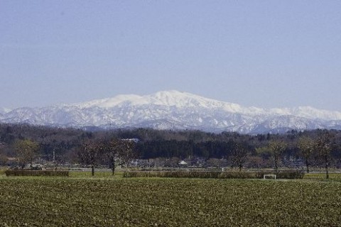 環境王国こまつ里山ロード　植樹祭メモリアルライン