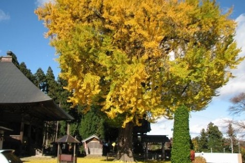 はなわ　山・水・花のみち