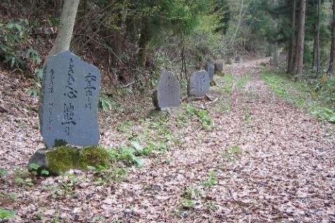 祈りの道　善光寺道