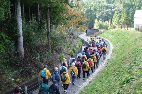 ゆとりの丘周遊コース