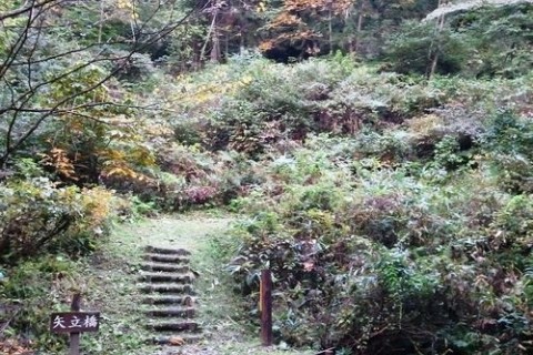 歴史の道　羽州街道矢立峠コース