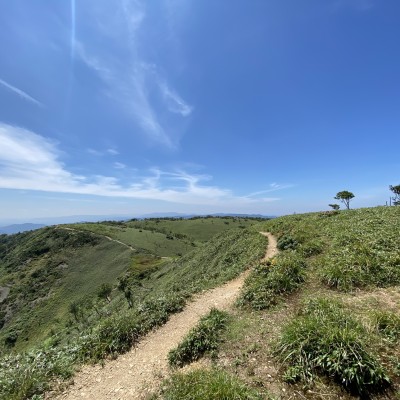 第1回比良トレイルラン蓬莱～高島黒谷ルート