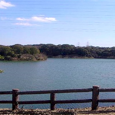 ちた梅子マラソン5㎞コース