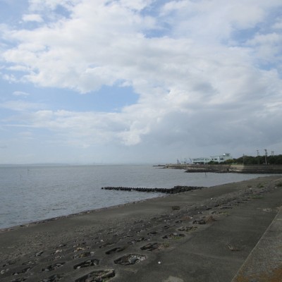 一色マラソン大会　公式コース（ハーフ）