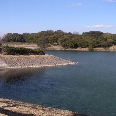 ちた梅子マラソン10㎞コース