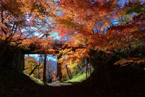 高遠城下「石仏」ウォーク　～美しい村の紅葉を添えて～