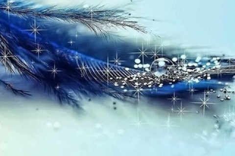 ママさんバレーボールチーム　富田バード