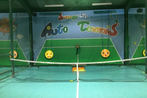 オートテニスサングリーン